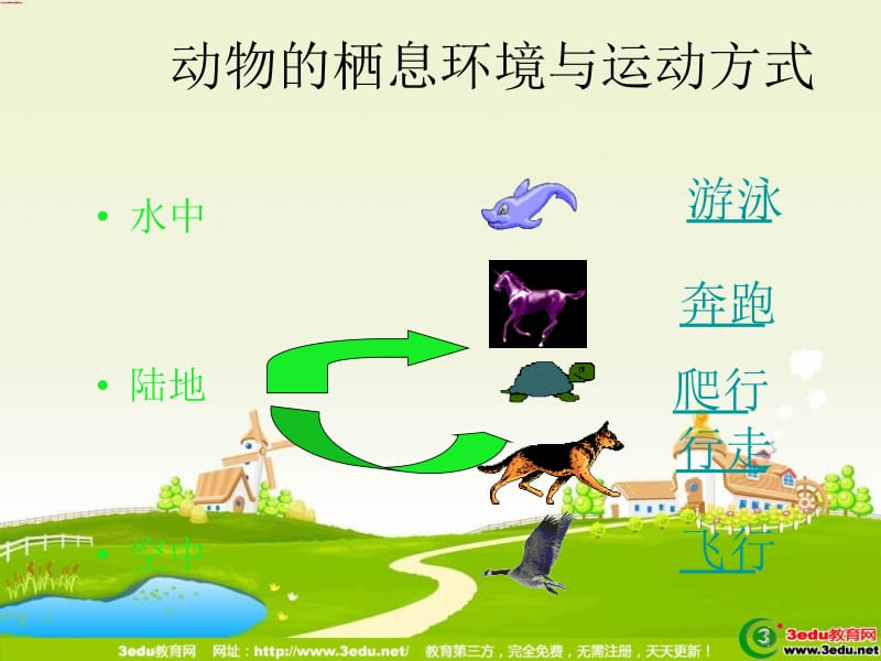 动物运动方式的多样性课件.ppt_第3页