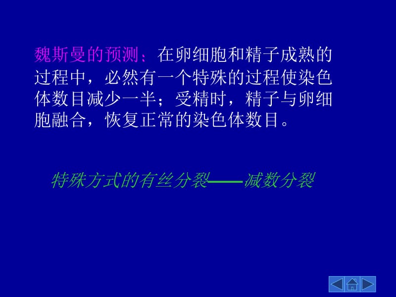 减数分裂和受精作用(精简版).ppt_第3页