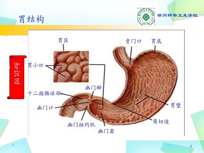 急性胃炎公开课修改版 ppt课件.ppt_第2页