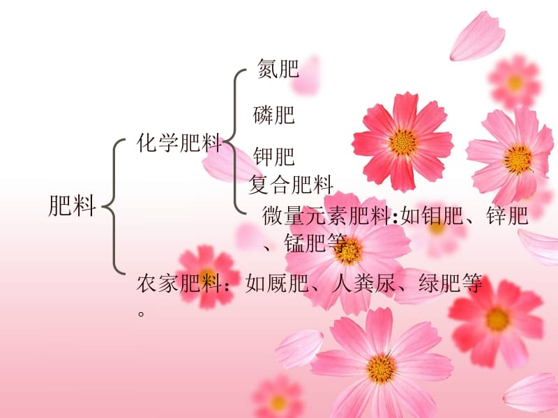 化学肥料 (2).ppt_第3页