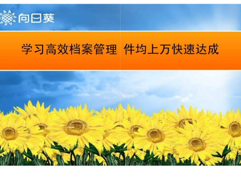 学习高效档案管理 件均上万快速达成.ppt_第1页