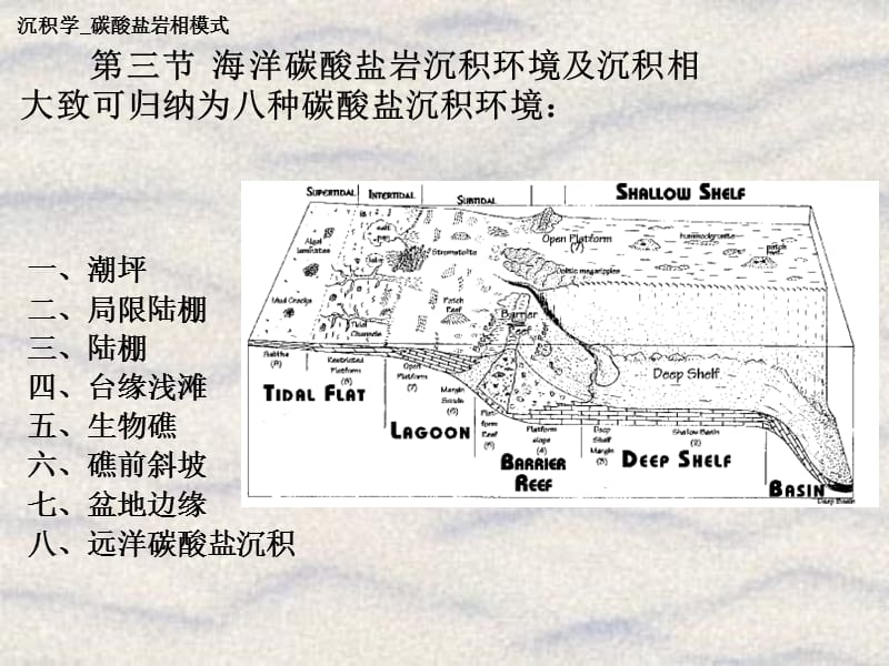 CH08_B_碳酸盐岩沉积相.ppt_第2页