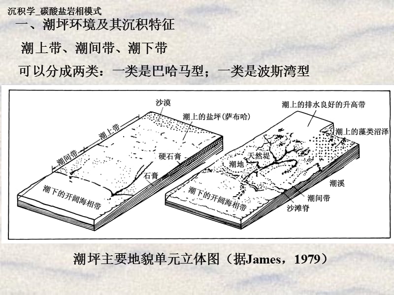 CH08_B_碳酸盐岩沉积相.ppt_第3页