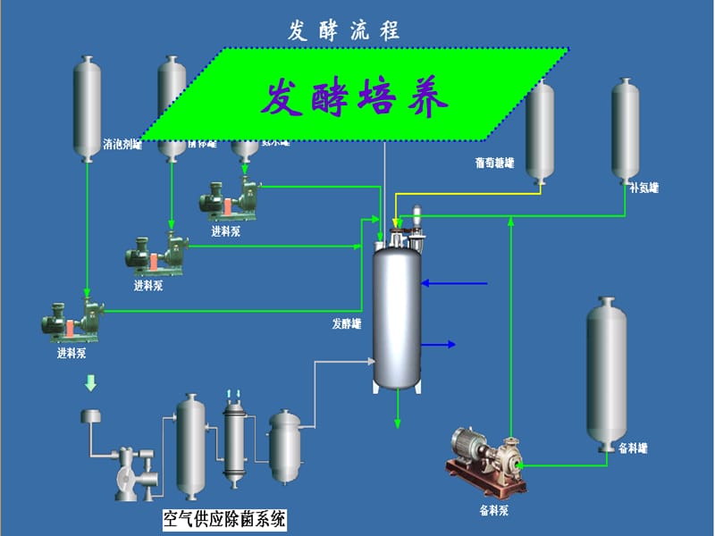 发 酵培养.ppt_第2页