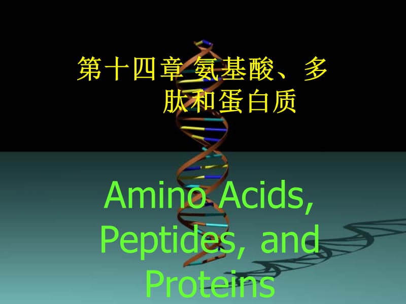 c 14 氨基酸、多肽与蛋白质.ppt_第1页