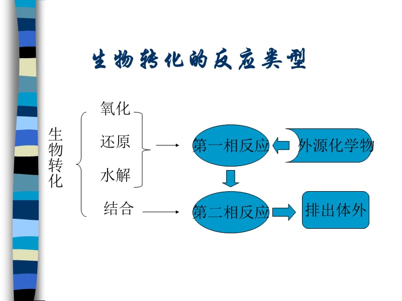 duli3-生物转化.ppt_第3页