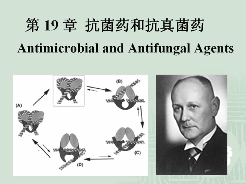 抗菌药-喹诺酮类.ppt_第1页