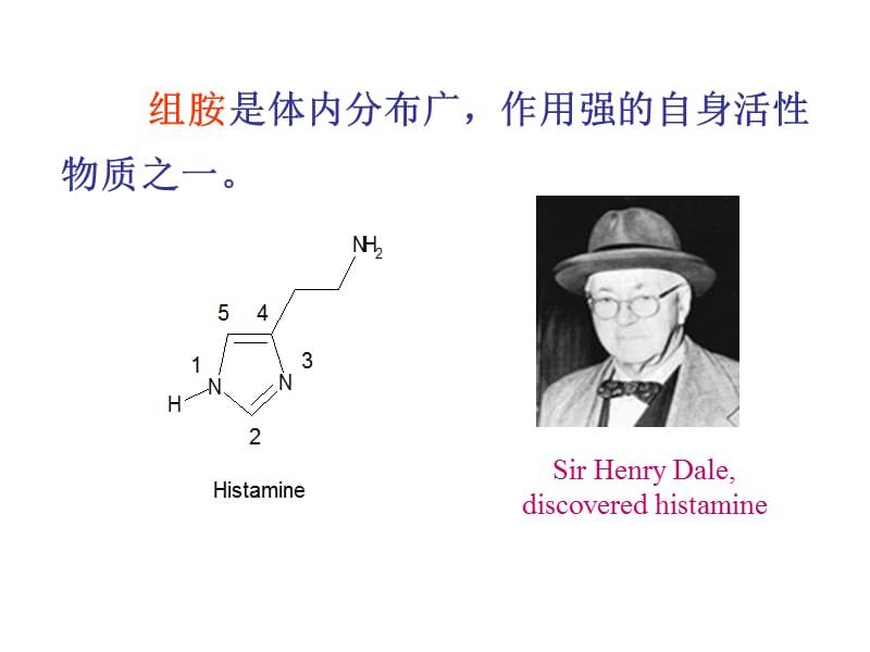 抗变态反应药 抗组胺药物 H1受体阻断药 钙剂 习题(护理药物学).ppt_第2页