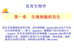 A-第1章 生殖细胞的发生.ppt