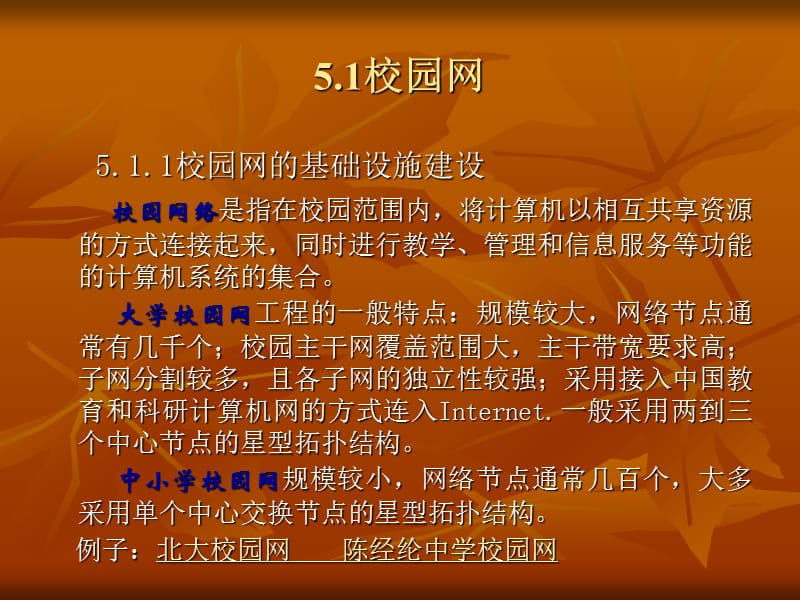 第5章网络教育应用的多种形式.ppt_第3页