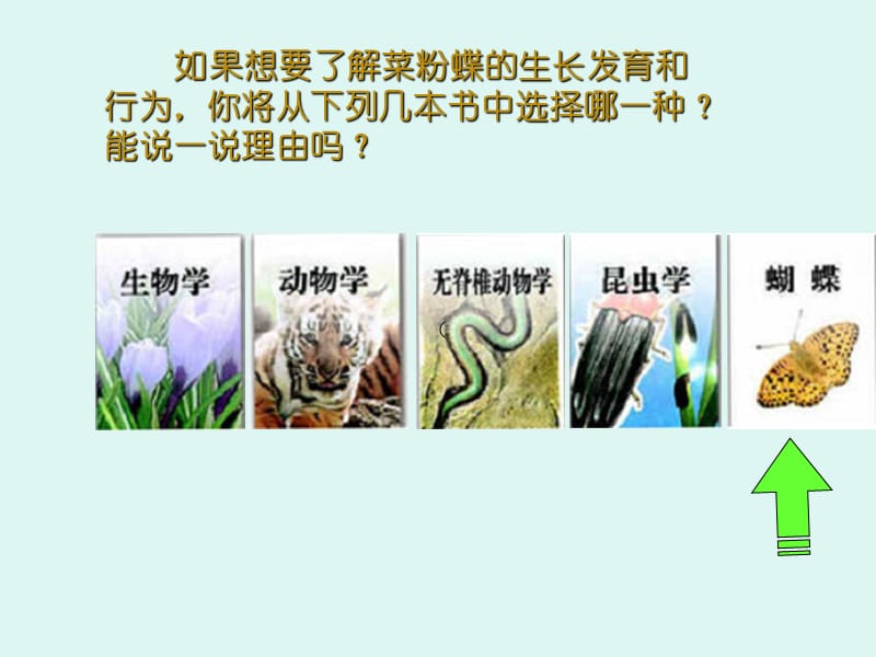 16尝试对生物进行分类3.ppt_第2页