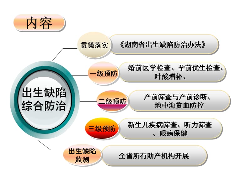 出生缺陷王华 ppt课件.ppt_第2页