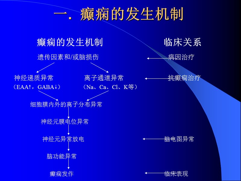 抗癫痫治疗的药物选择2013.ppt_第2页