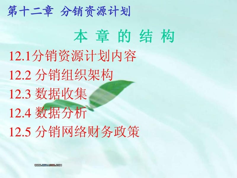 ERP分销资源计划.ppt_第2页