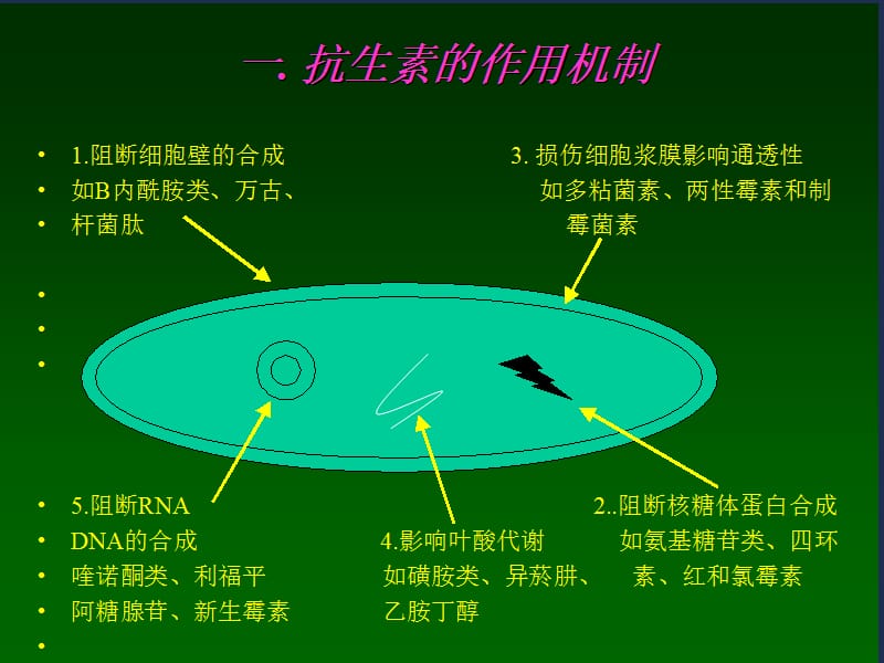 抗菌素的应用.ppt_第2页