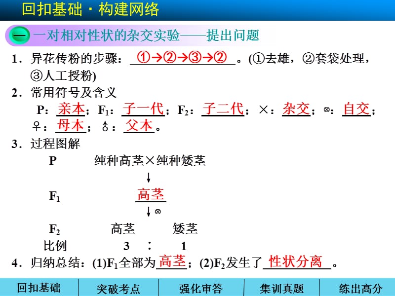 2014高考生物一轮复习(四川专用)第五单元第15讲孟德尔的豌豆杂交实验(一).ppt_第3页