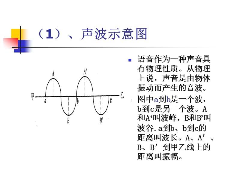 第一章语音·语音概述.ppt_第3页