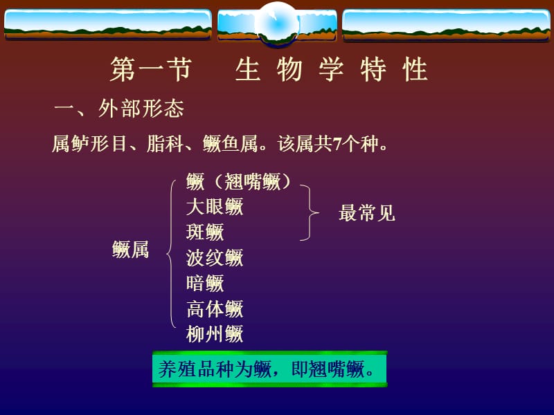 桂鱼季花鱼鳜鱼养殖技术(全面版).ppt_第2页