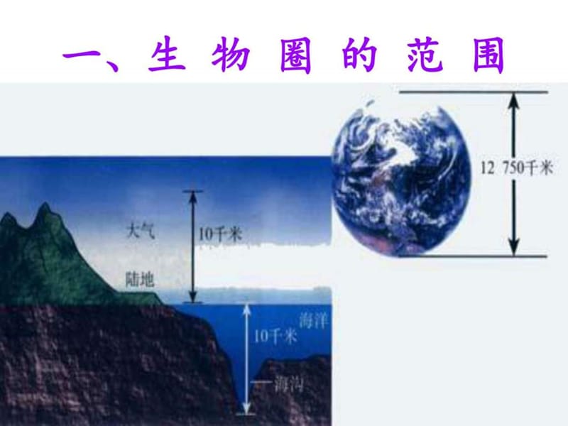 《生物圈是最大的生态系统》ppt课件.ppt_第2页