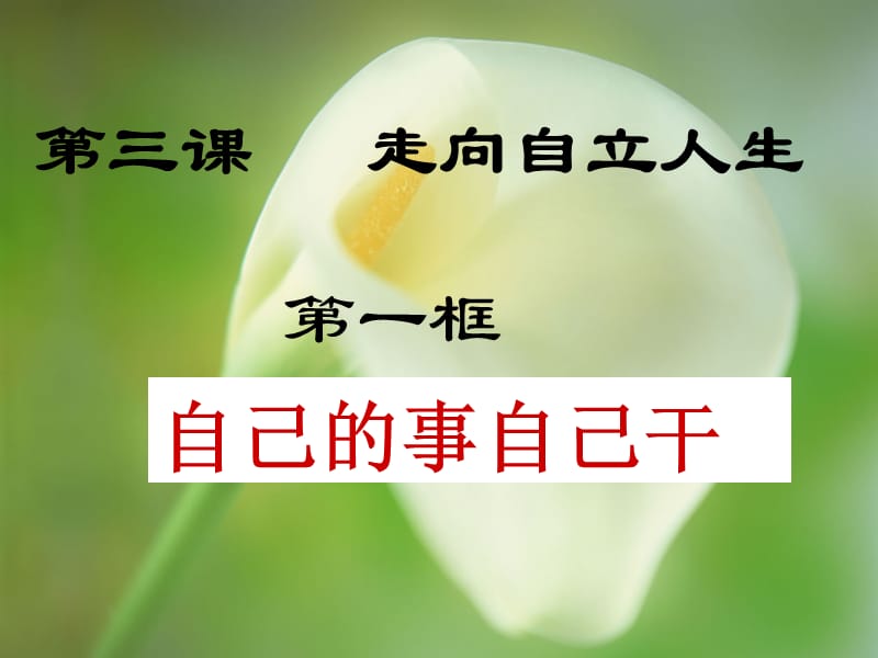 第三课1《自己的事自己干》.ppt_第2页