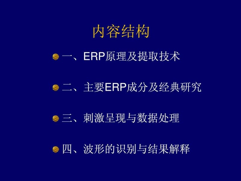 ERP入门基本知识.ppt_第2页