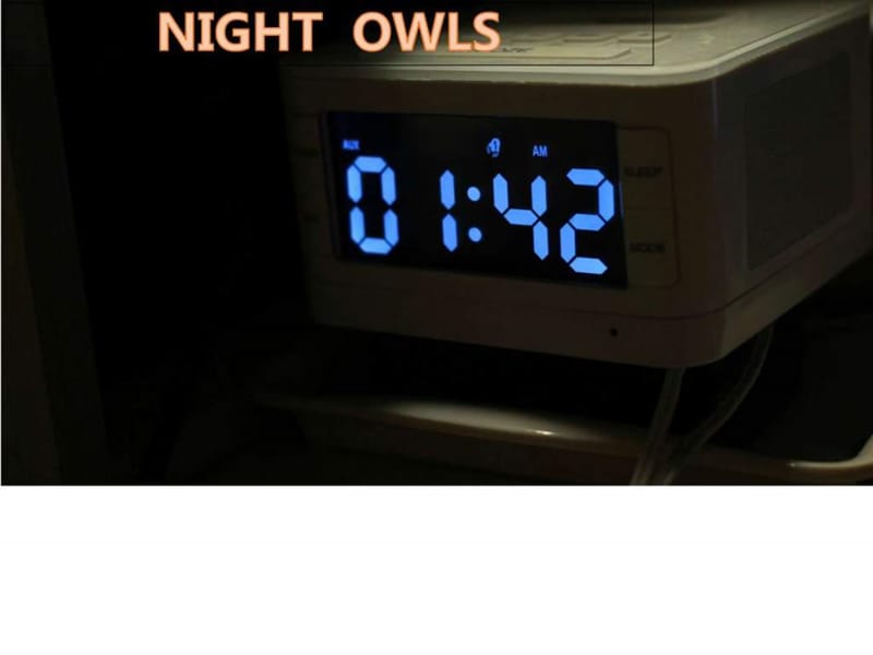 NIGHT OWLS_饮食_生活休闲.ppt.ppt_第1页