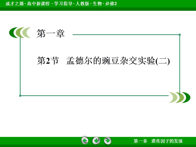 2014《成才之路》高一生物(人教版)必修2课件：1-2孟德尔的豌豆杂交实验(二).ppt_第3页