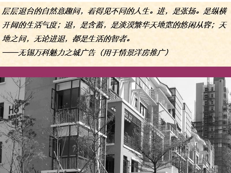 2008世联情景洋房专项研究1752467918.ppt_第2页