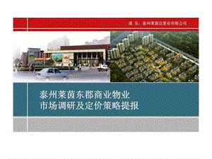 2013年江苏泰州莱茵东郡商业中心项目市场调研及定价策略提报前期策划.ppt