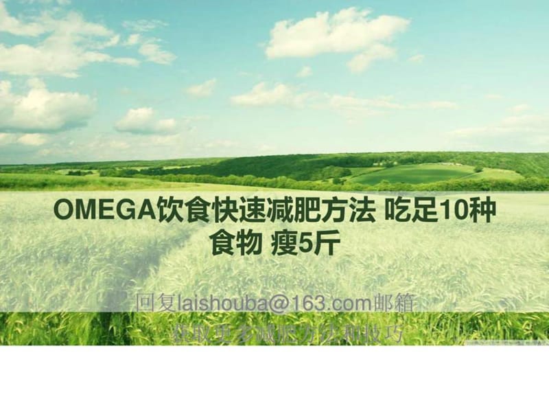 OMEGA饮食快速减肥方法 吃足10种食物 瘦5斤.ppt.ppt_第1页