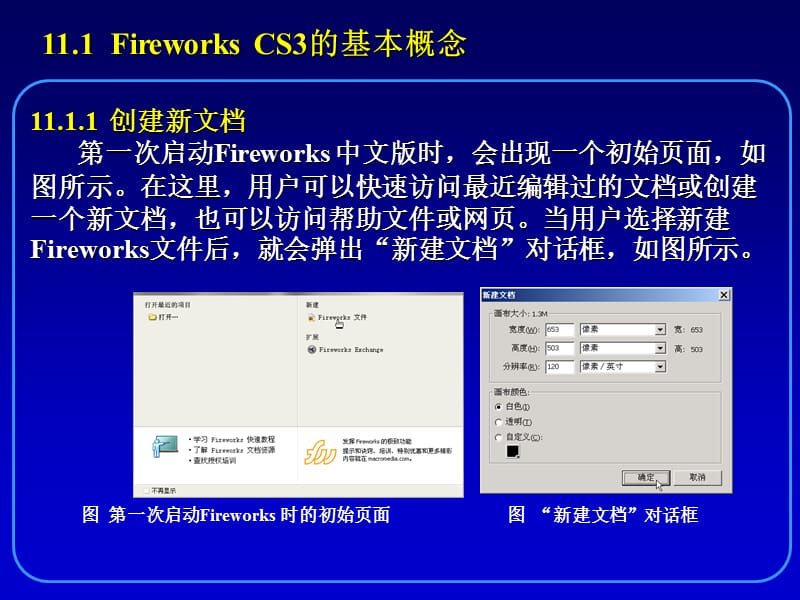 第11章网页图形处理工具FireworksCS3.ppt_第3页