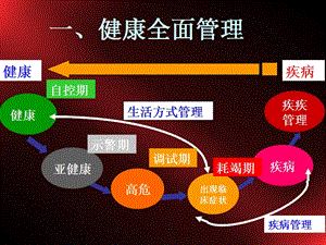 虹膜分析说明转移文件.ppt