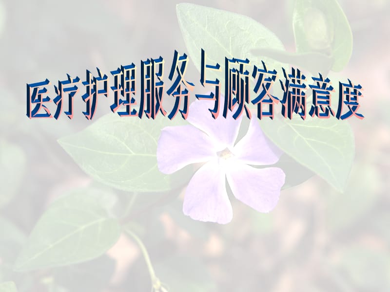 医疗护理服务与顾客满意度.ppt_第1页