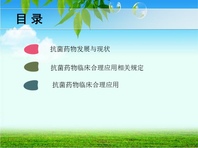 抗菌药物临床合理应用管理.ppt_第2页