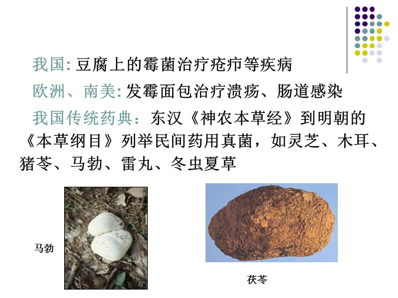 CHAP2 医药微生物生物技术1.ppt_第3页