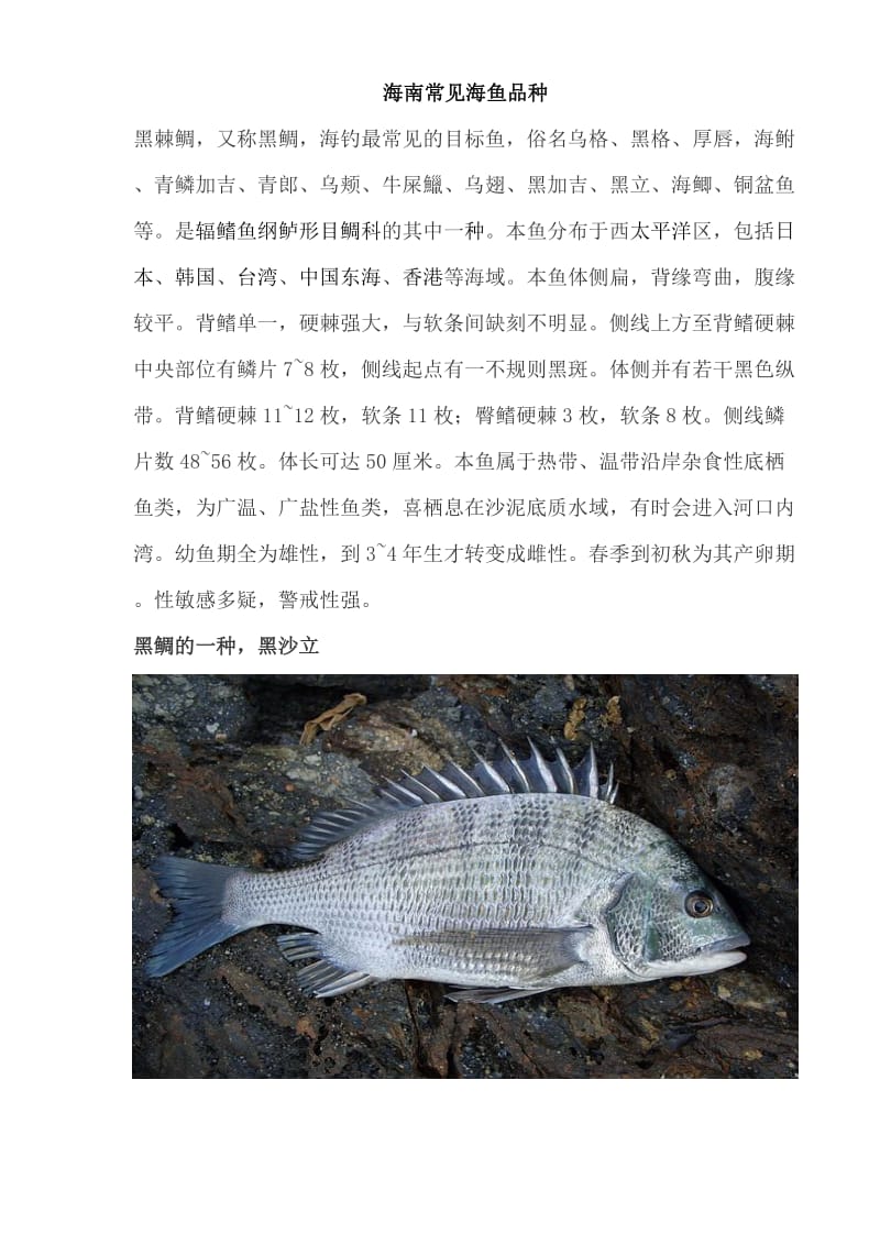 海南常见海鱼品种.doc_第1页