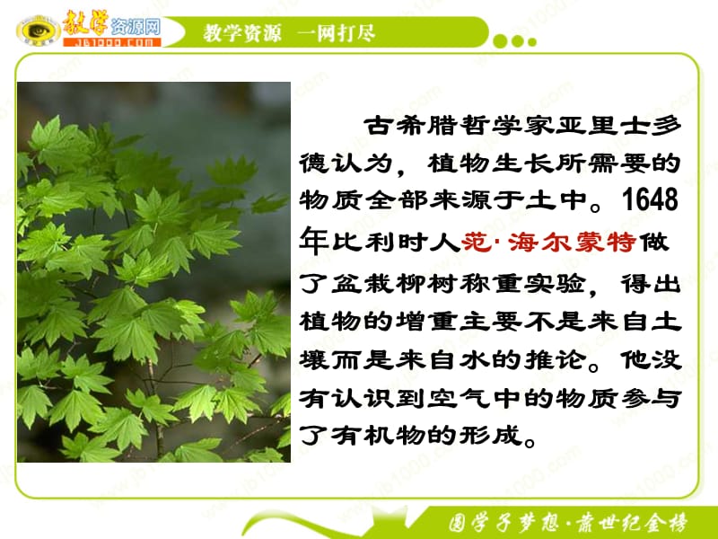 生物：《光合作用的发现》课件(新人教版必修1).ppt_第3页