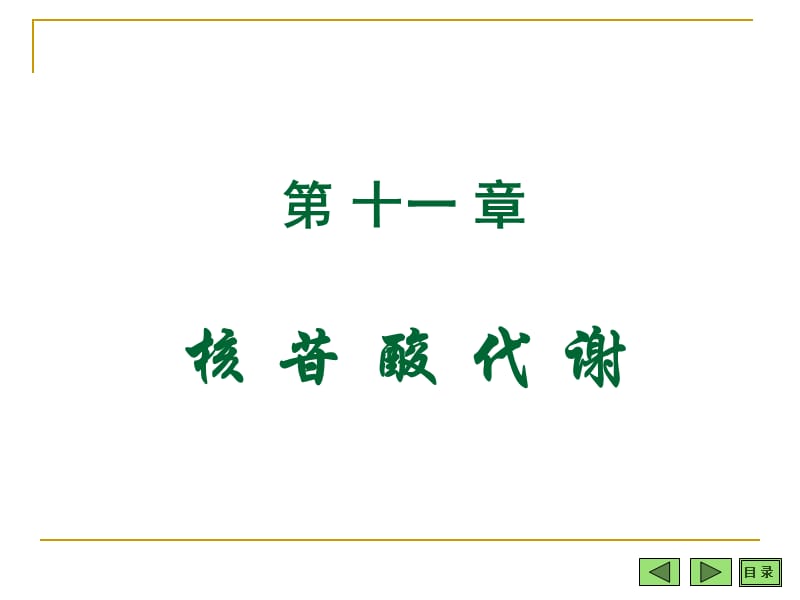 chapter 11 Metabolism of nucleoides acid-中药11.ppt_第1页