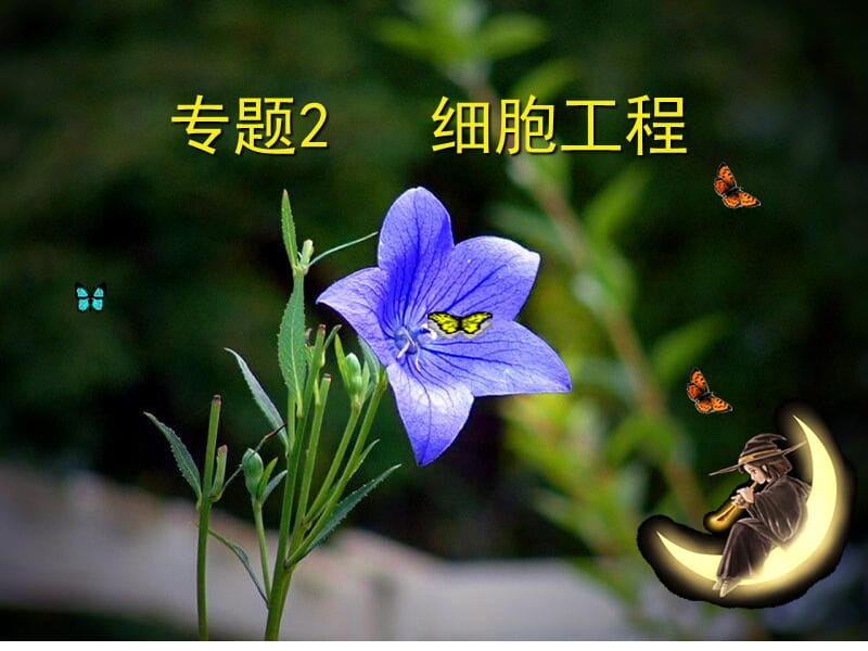 高中生物植物细胞工程.ppt_第1页