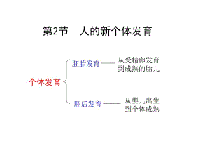 八年级生物人的新个体发育2.ppt