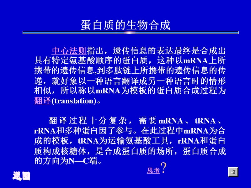 蛋白质的生物合成.ppt_第1页