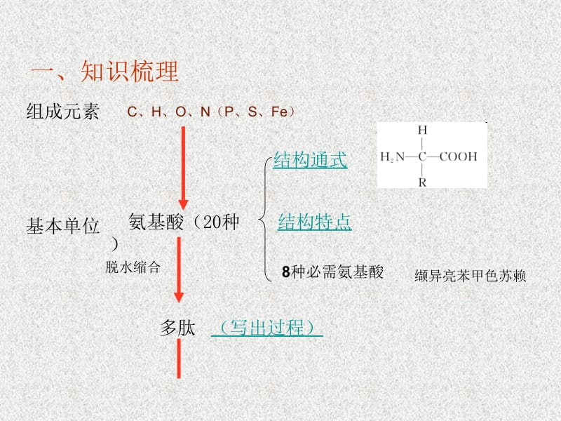 第3讲生命活动的主要承担者蛋白质.ppt_第2页