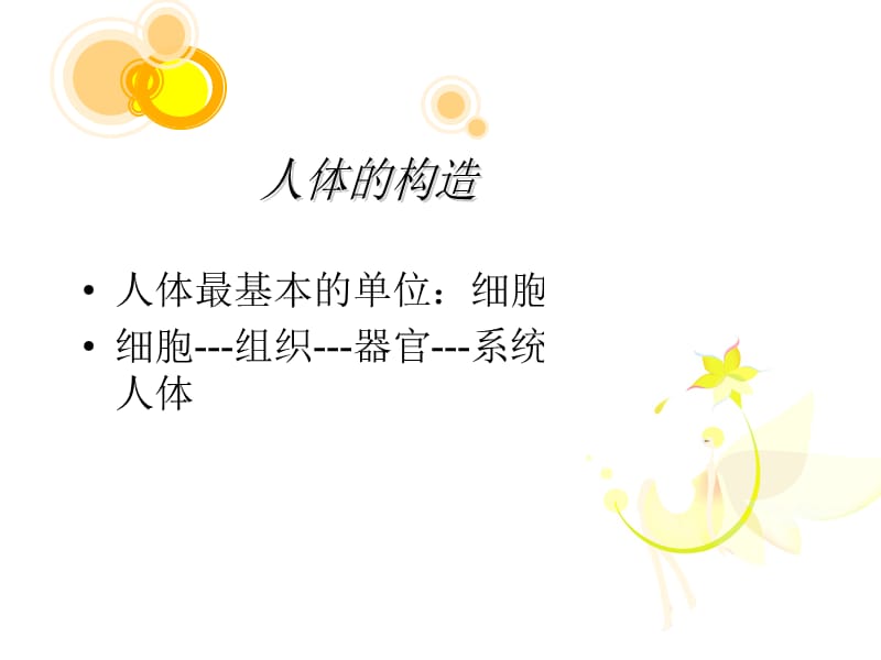 PPT细胞.ppt_第2页