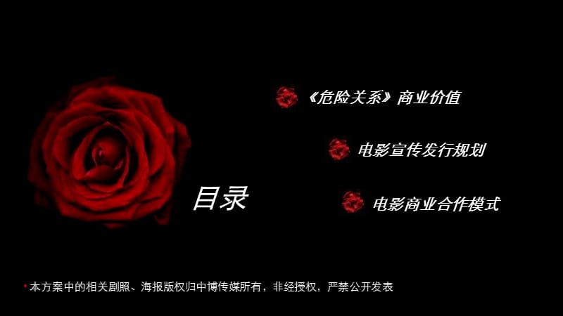 《危险关系》电影商务合作方案.ppt_第2页