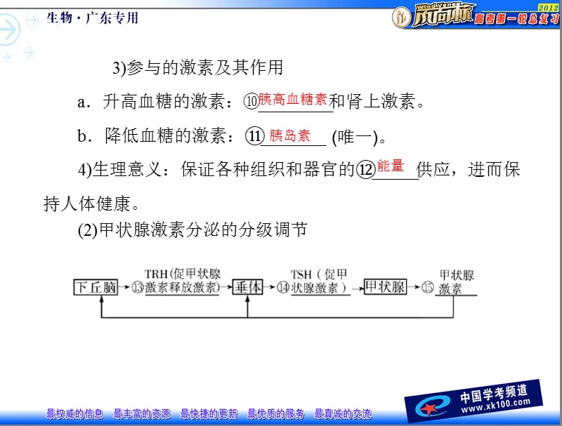 第23节通过激素的调节神经调节与体液调节的关系一.ppt_第3页