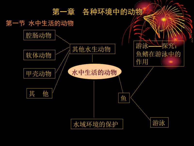 八年级生物上中期复习.ppt_第2页