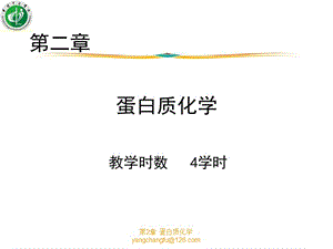 第2章蛋白质化学ppt课件.ppt