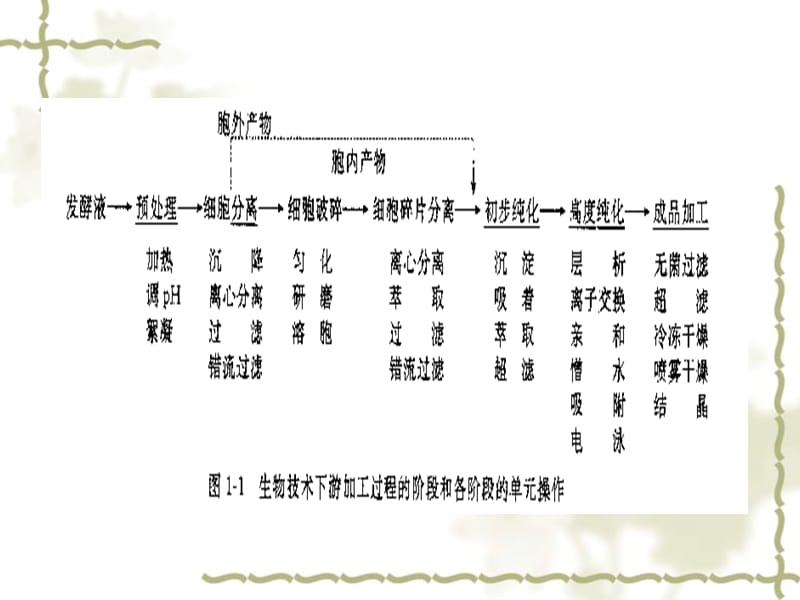 第3章微生物细胞的破碎Chapter3CellDisruption.ppt_第3页