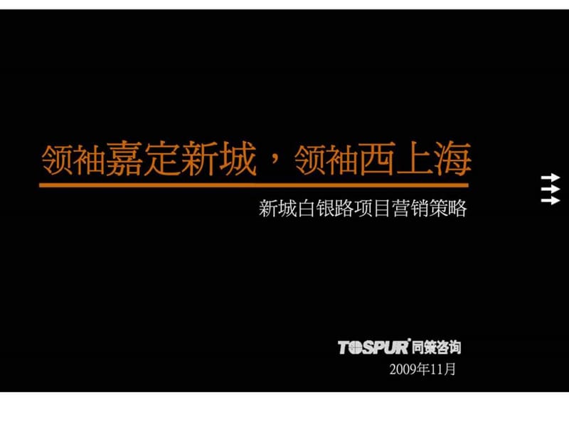 同策2009年11日上海新城白银路项目营销策略.ppt_第2页