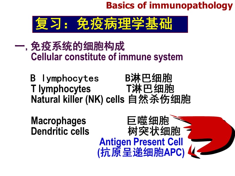 病理学 免疫性疾病.ppt_第2页